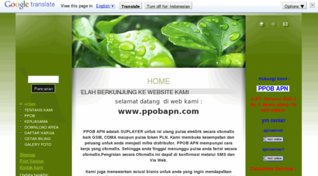 ppobapn.com