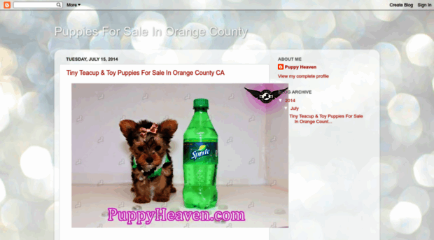 ppuppiesforsaleinorangecounty.blogspot.com