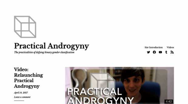 practicalandrogyny.com