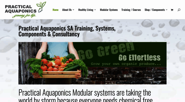 practicalaquaponics.co.za