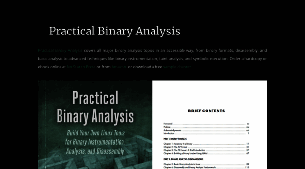 practicalbinaryanalysis.com