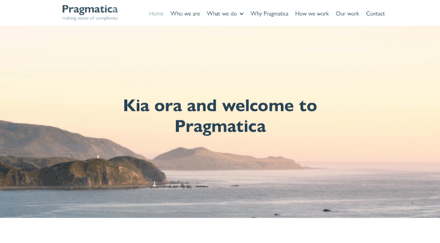 pragmatica.nz