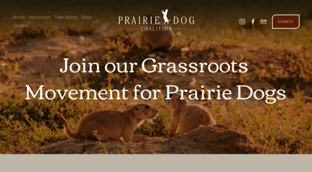 prairiedogcoalition.org