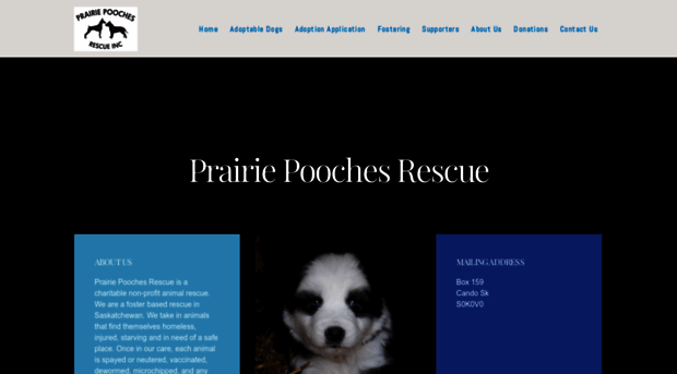 prairiepoochesrescue.com