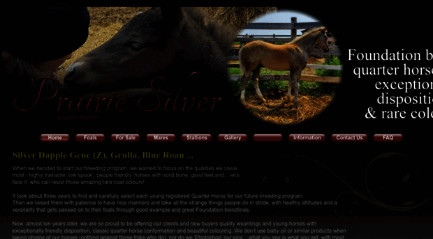 prairiesilverquarterhorses.com