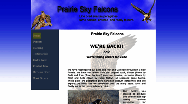 prairieskyfalcons.com