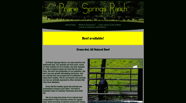 prairiespringsranch.com