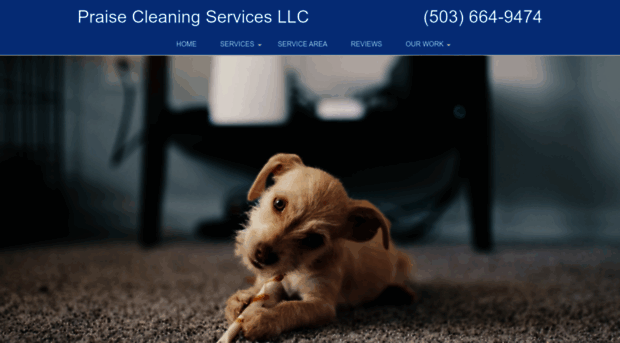 praise-cleaning-services.com