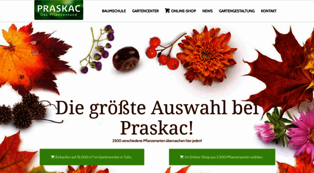 praskac.at