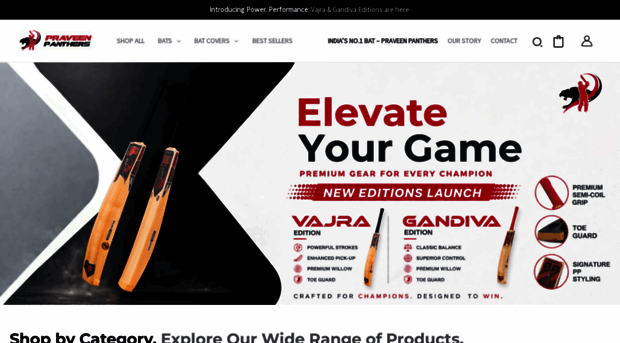 praveenpanthers.com