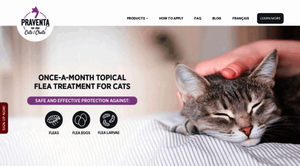 praventaforcats.com