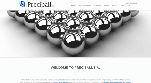 preciball.com