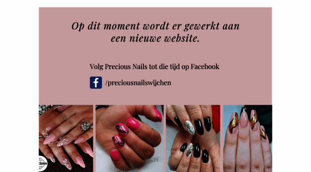 preciousnails.nl