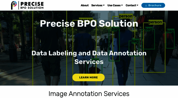 precisebposolution.com