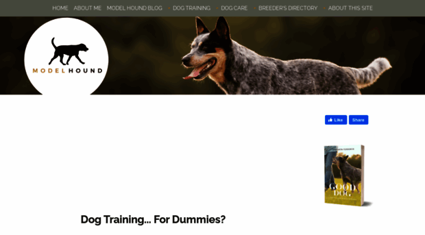 precision-dog-training.com