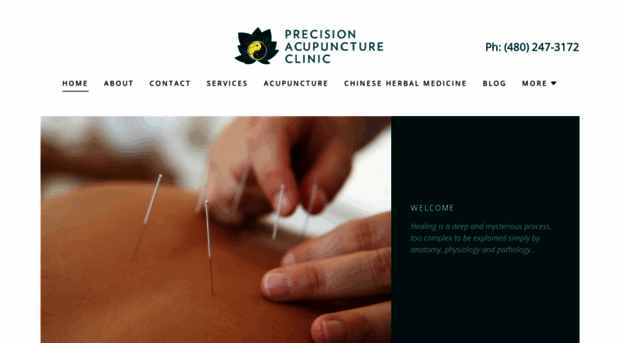 precisionacupuncture.com