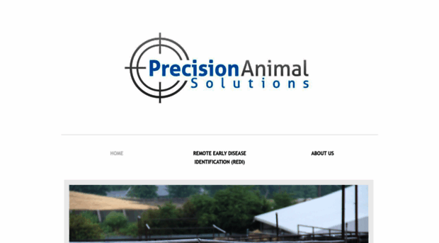 precisionbeef.com