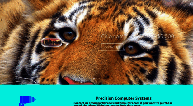 precisioncomputers.com