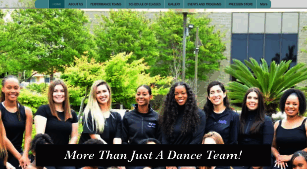 precisiondance.org