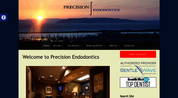 precisionendo.com