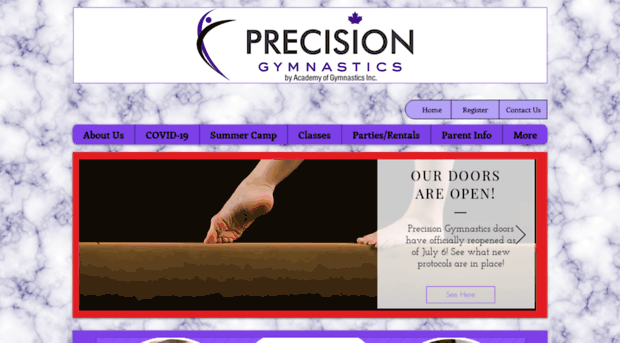 precisiongymnasticswetaskiwin.com