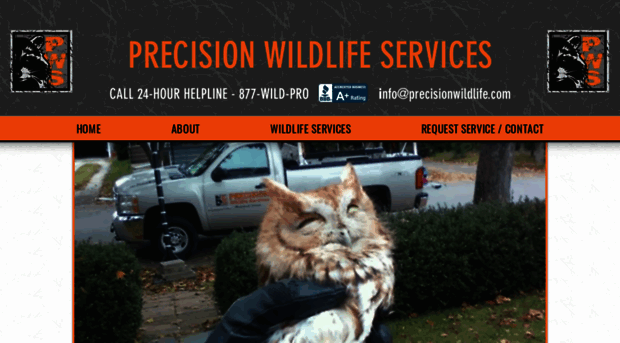 precisionwildlife.com