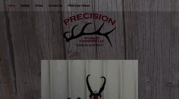 precisionwildlifetaxidermy.com