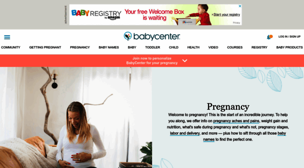 pregnancy.com