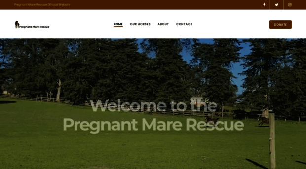 pregnantmarerescue.org