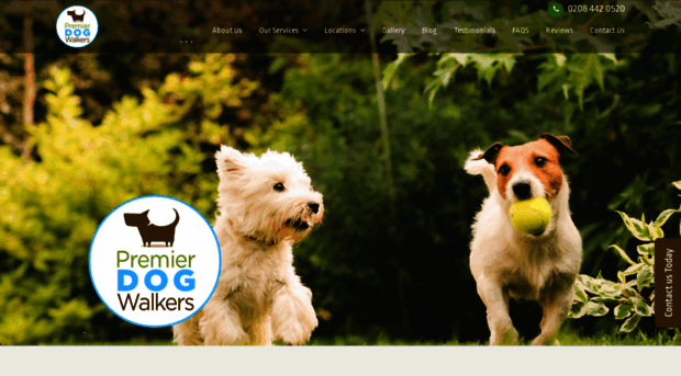 premierdogwalkers.com