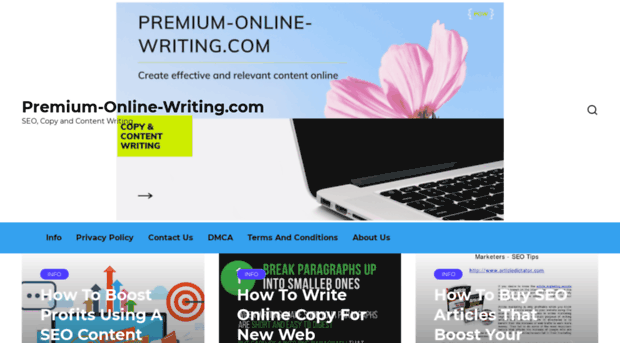 premium-online-writing.com