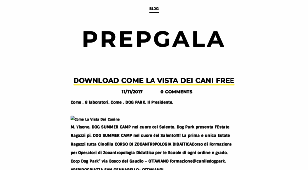 prepgala.weebly.com