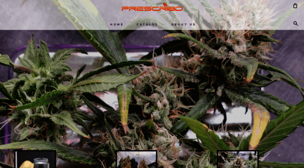 prescribd-cbd.myshopify.com