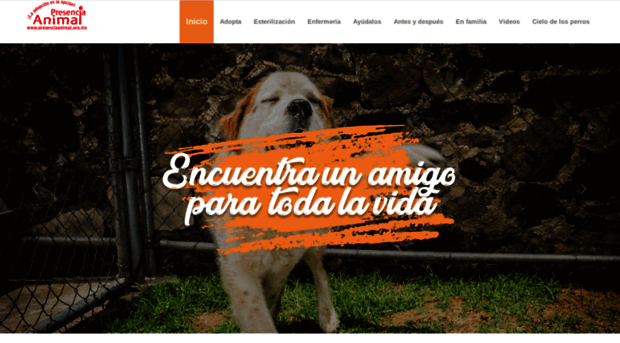 presenciaanimal.org.mx