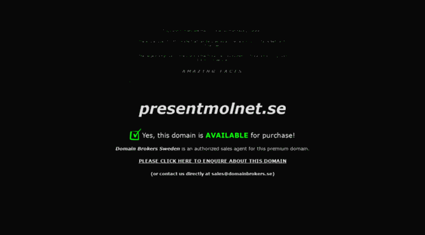 presentmolnet.se