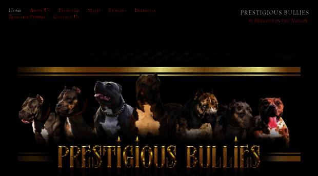 prestigiousbullies.com