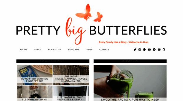 prettybigbutterflies.com