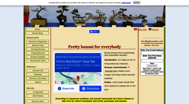 prettybonsai.com