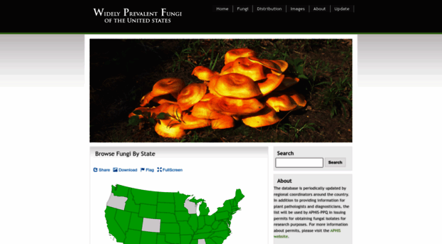 prevalentfungi.org