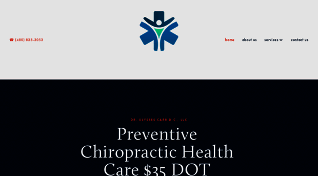 preventivechiropractic.com