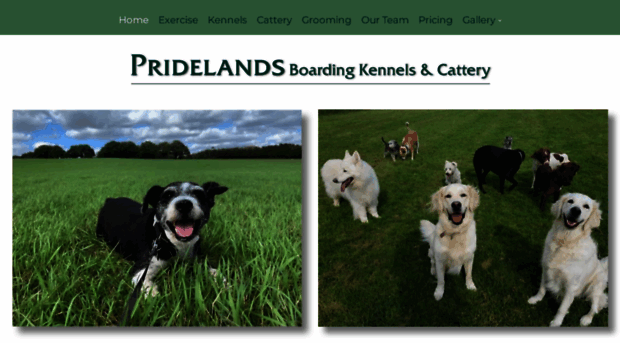 pridelandskennels.co.uk