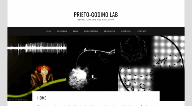 prietogodinolab.org