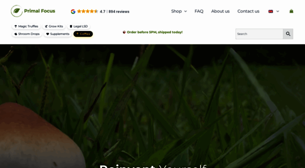 primalfocus.eu
