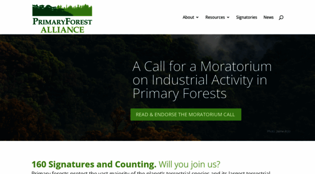 primaryforest.org