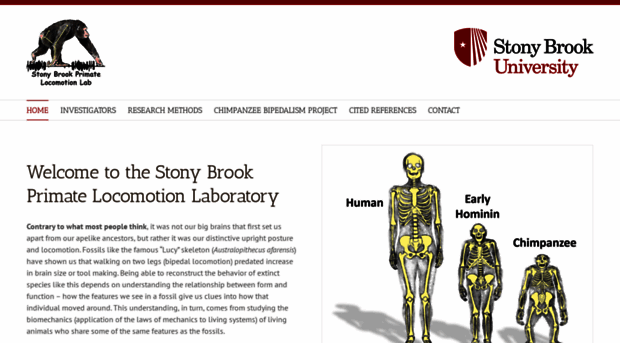 primatelocomotion.org