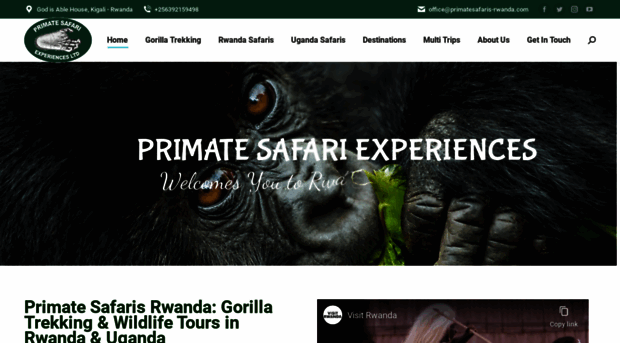 primatesafaris-rwanda.com