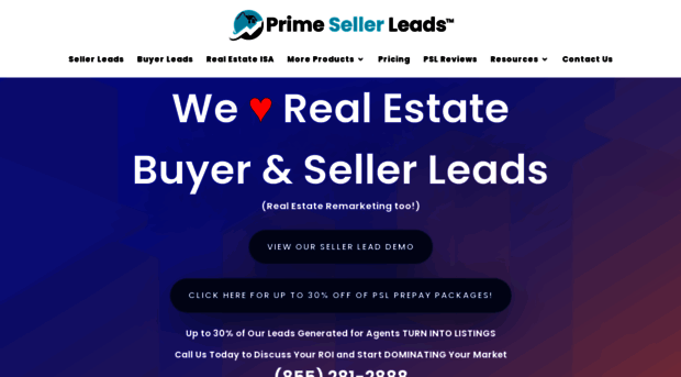 primesellerleads.com