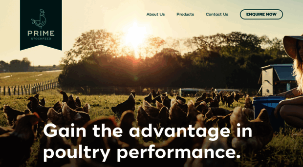 primestockfeed.com.au