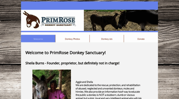 primrosedonkeysanctuary.com