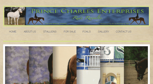 princecharlesenterprises.com